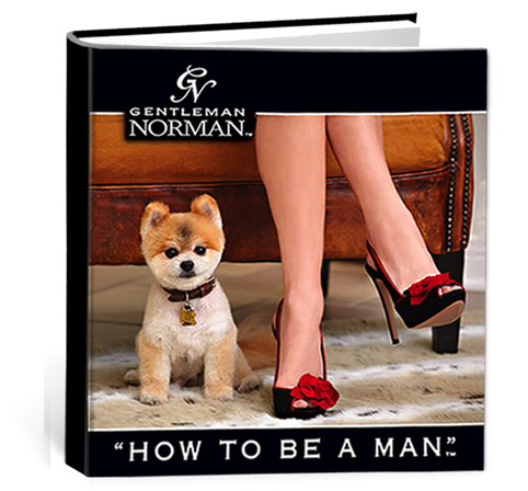 Gentleman Norman How to be a man pomeranian pooch book