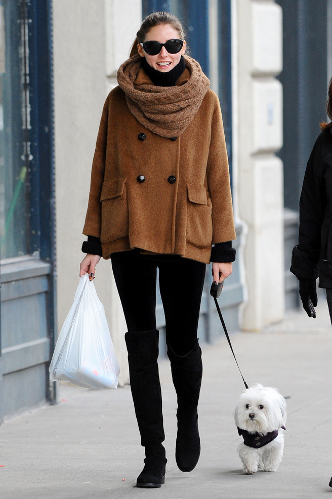 Olivia Palermo went shopping at a deli with her dog in Brooklyn, NY