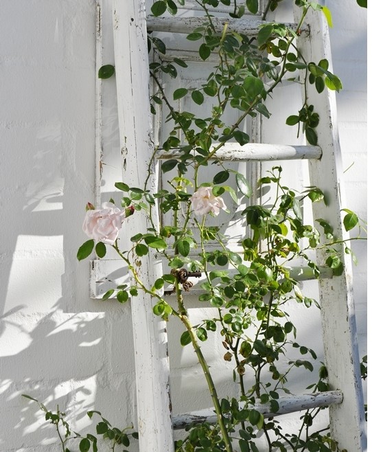 Use an old ladder to decorate your entrance in a shabby-chic way.