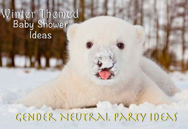 winter baby shower ideas - gender neutral