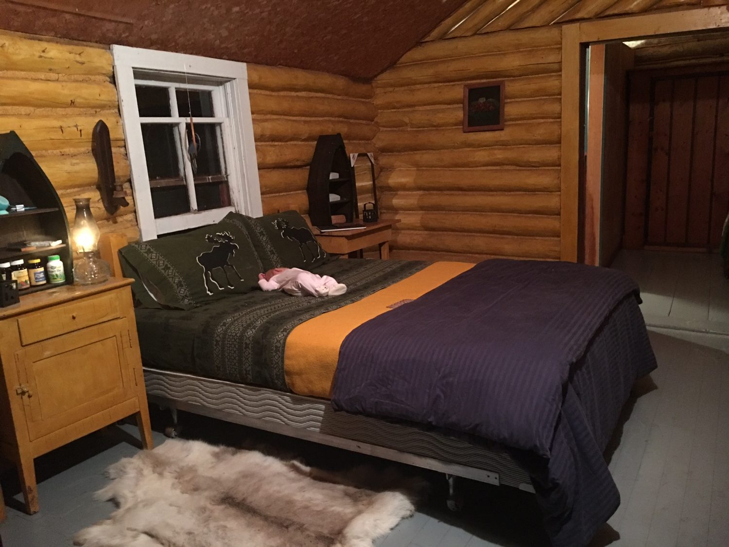 log cabin with bed for glamping