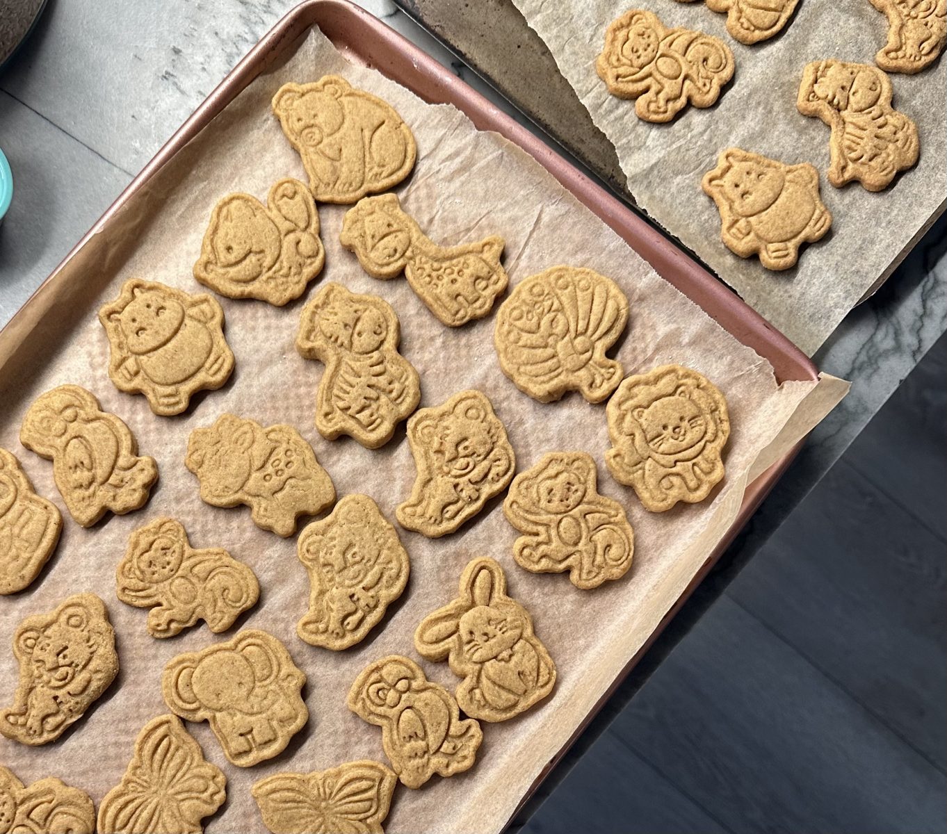 animal cookies on baking sheets