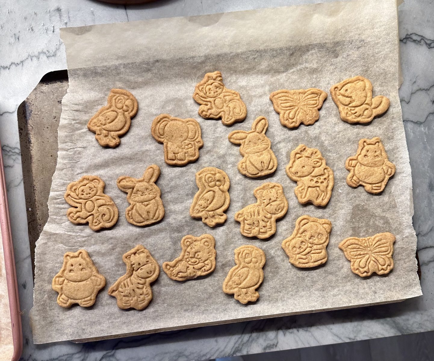 homemade animal cookies on baking sheet