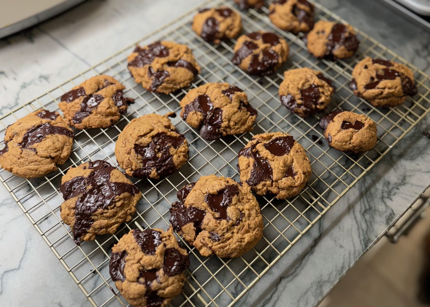 chocolate chip cookies with einkorn