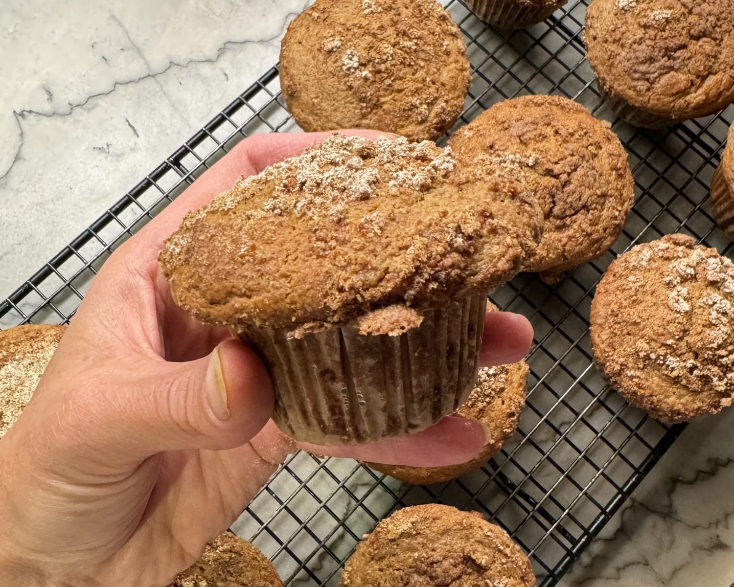 big muffin top - cinnamon streusel muffins - closeup