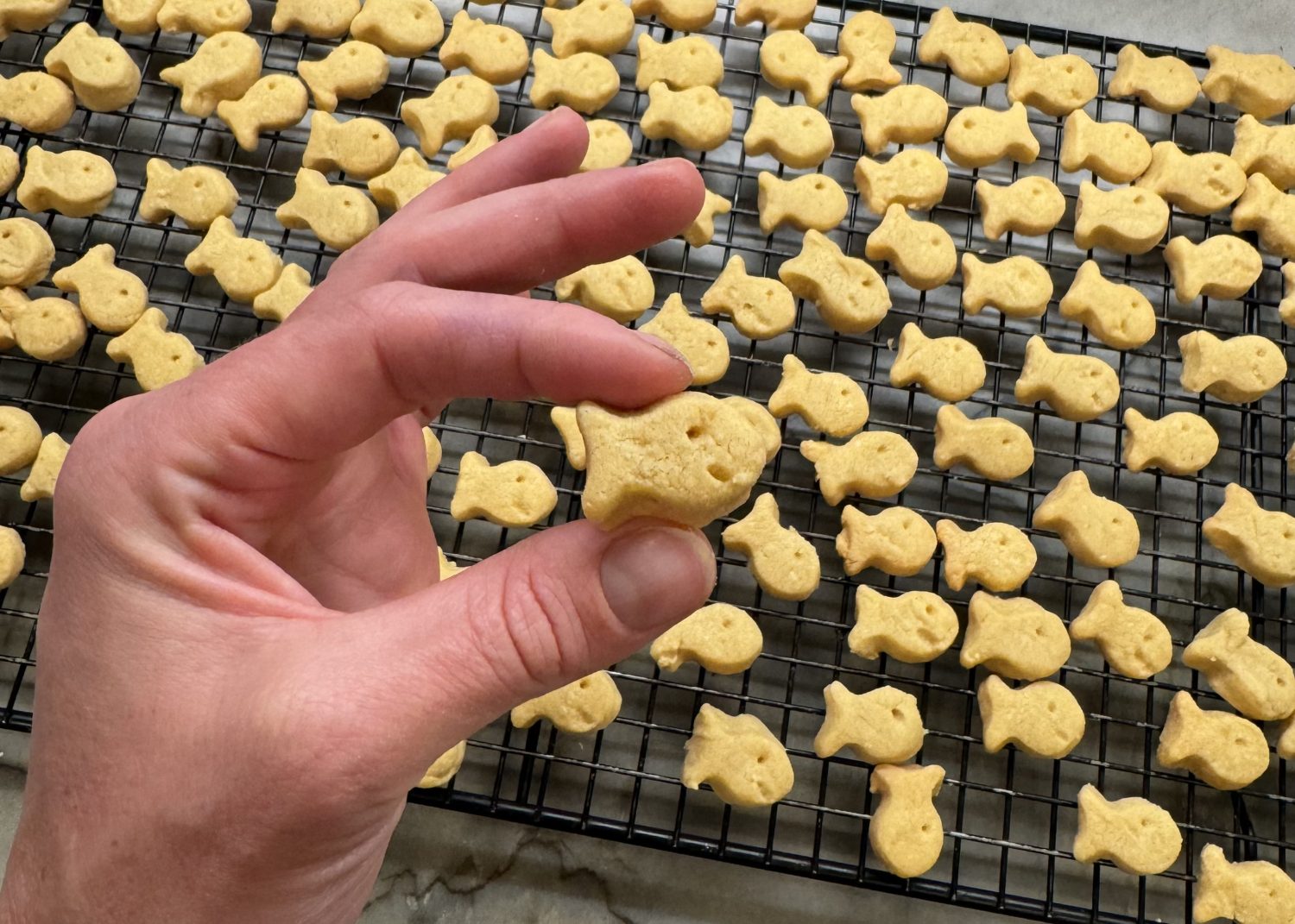 healthy goldfish cracker recipe _4060