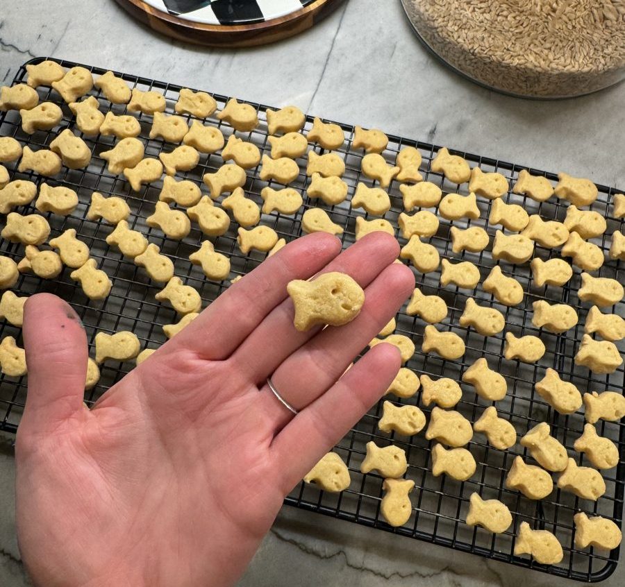 homemade goldfish crackers - closeup