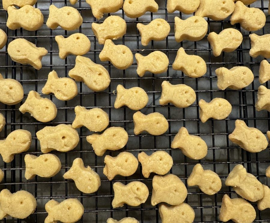 homemade goldfish on rack