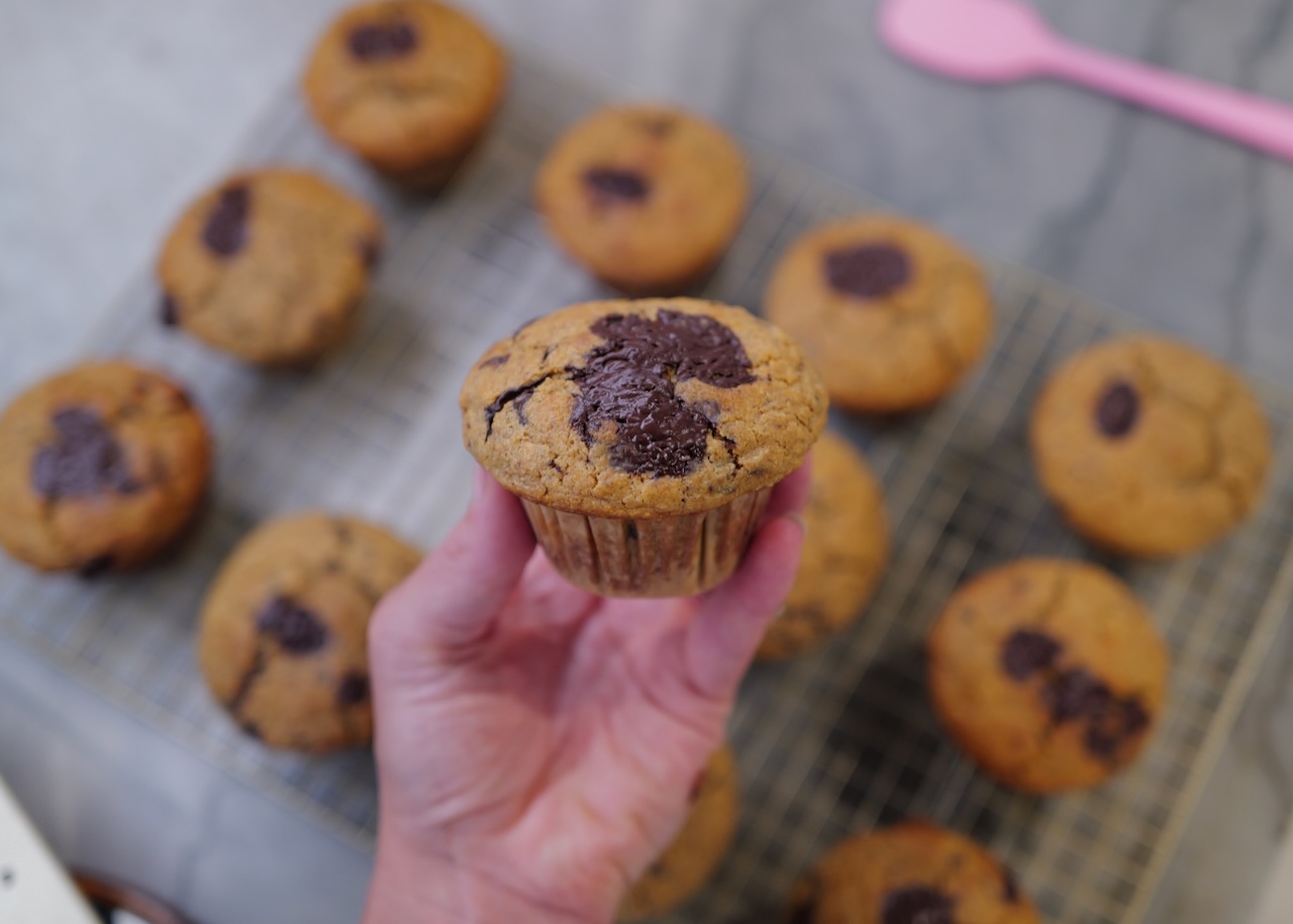 chocolate chip muffin - closeup