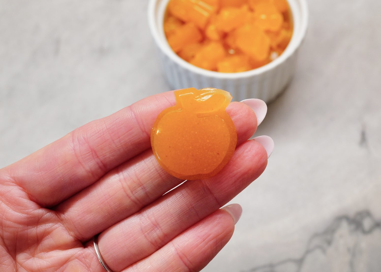 homemade gummy candy or fruit snack