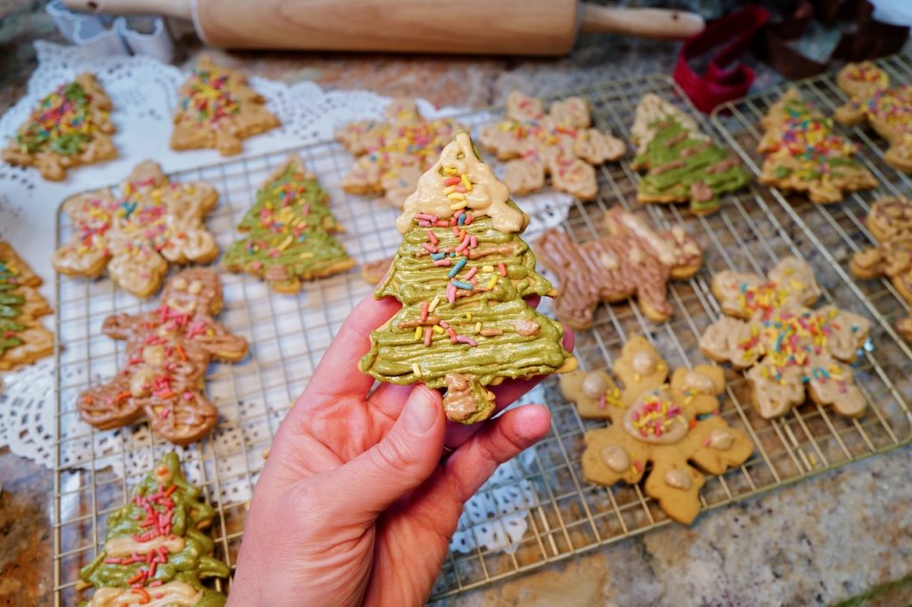 Christmas holiday cutout cookies - with dye free icing